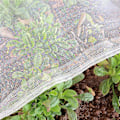 Miniatyrbillede 1 af 2: Have Net til Insektbeskyttelse i Haven: 1,2 x 5 M Fint Net til Beskyttelse af Porrer, Frugtræer, Haveplanter, Hvidt