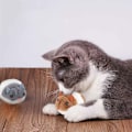 Miniatyrbild 5 av 5: Katt leksak, 2 stycken plyschmus, automatisk kattmusleksak, katt leksak set, interaktiv katt leksak husdjur leksaker för katt kattunge
