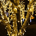 Miniatyrbillede 5 af 5: 200 LED Fejelygter, Varmt Hvidt, Dekorative Julelys til
