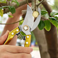 Miniatyrbilde 3 av 5: 1 stk ergonomiske håndtak, profesjonelle beskjæringssakser i karbonstål