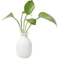 Miniatyrbillede 1 af 3: Plante Hydroponisk Keramisk Vase Kreativ Fremme Sund Vækst Plantekasse til Stue Soveværelse Studie White