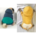 Miniatyrbild 4 av 5: L.Zipper Hooded Husdjurskläder Hund Katt Kläder Söta Husdjurskläder Varmt Hooded Fransk Bulldogg Mops