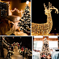 Miniatyrbillede 4 af 5: 200 LED Fejelygter, Varmt Hvidt, Dekorative Julelys til