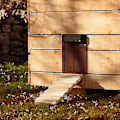 Miniatyrbild 2 av 3: Alg Automatisk Hönshus Dörr Ljus Sensor Öppnare Hönshus Dörr