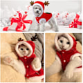 Miniatyrbild 4 av 5: (M) Hundjul Julkläder Katt Juldräkt Hund X-mas Tröjor