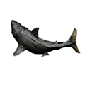 Miniatyrbilde 4 av 5: Haje Modellleketøy, Simulert Megalodon Miniatyr Dyreleketøy Havdyrmodell