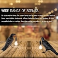 Miniatyrbilde 3 av 5: Ravn Bordlampe - Ravn Skrivebordslampe - Realistisk Ravn Lys i Harpiks,