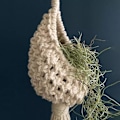 Miniatyrbild 3 av 4: Nordisk Europa Hängande Korg Ananas Form Landskaps Bomull Makramé Blomkruka För Vardagsrum Balkong Dekorationer（13CM）