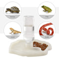 Miniatyrbillede 6 af 6: Reptil Vanddispenser, Skildpadde Vandautomat, Skildpadde Skål Feeder 2-i-1 Anti-spild Foderdispenser Plastik Skål Tilbehør - Belysning