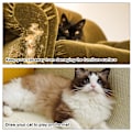 Miniatyrbild 3 av 4: Kattklösmatta, soffkattklösmatta med 2 fack kattklösmöbler reptsskydd soffa kattklösmatta