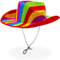 Miniatyrbillede 1 af 5: Regnbue Cowboy Hat til Pride Parade, Kostumefest (Voksne One Si