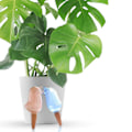 Miniatyrbild 2 av 5: 2-pack automatisk bevattningsanordning, automatiska växtbevattnare, trädgårdsbevattnare, droppbevattningssystem självvattningssystem