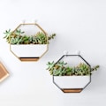 Miniatyrbild 5 av 5: Blomkrukeöverdrag, Blomkruka, Väggblomkruka Geometrisk Suckulent