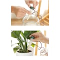 Miniatyrbillede 2 af 3: 8 stk. Klassiske plantevandingspinde til indendørs eller udendørs vandspyd Planter Automatisk drypvanding