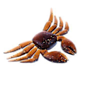 Miniatyrbilde 5 av 5: 5x Fiskeutstyr Mykt Agn 3D Simulering Saltvann Kunstig Glidebevegelse (Brun) Brown