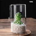 Miniatyrbilde 3 av 3: Klar Glass Blomstervase Minimalistisk Glassvase Sylinder Blomstervase for Bryllup Stue Dekorativ Gave 8.5x15cm