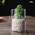 Miniatyrbilde 3 av 3: Klar Glass Blomstervase Minimalistisk Glassvase Sylinder Blomstervase for Bryllup Stue Dekorativ Gave 6.5x10cm