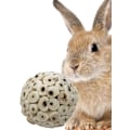 Miniatyrbild 4 av 4: Naturlig Sola Ball Mjuk Tugga Strimla Foder Sök Papegoja Amazon, Nymfparakit