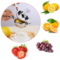 Miniatyrbillede 3 af 5: Citruspresser, Presser, Juicepresser, Manuel Citronpresser Citruspresser i Stål Citron Appelsin Andre Frugter Manuel Citruspresser Appelsinpresser