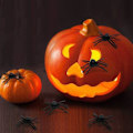 Miniatyrbillede 3 af 5: Sorte plastik edderkopper, 100 stk. Halloween falske edderkopper til Haun