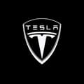 2 stk. Fit for Tesla Welcome Light Dedikert til TESLA MODEL3 X Mode