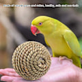 Miniatyrbillede 3 af 5: Kæledyrs Rattan Bold Legetøj Naturligt Sikker Kæledyr Legetøj Papegøje Legetøj Bold Kanin