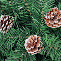 Miniatyrbillede 3 af 5: 18 stk. fyrrekoglevedhæng, julekoglepynt, Decora