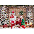 Miniatyrbillede 4 af 5: 7x5FT Polyester Stof Vinter Jul Rustik Lade Dør Pho