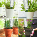 Miniatyrbilde 5 av 5: 8 pakke automatisk plantevanning, keramiske vannpotter, automatisk