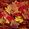 Miniatyrbild 1 av 5: 400 st konstgjorda höstlöv i lönn, höstfärgade lönnlöv, för konst, scrapbooking, bröllopsdekorationer, halloween
