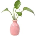 Miniatyrbillede 1 af 4: Plante Hydroponisk Keramisk Vase Kreativ Fremme Sund Vækst Plantekasse til Stue Soveværelse Studie Pink