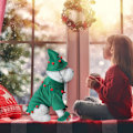 Miniatyrbild 2 av 5: (M) Julkläder för husdjur, jultomtefest hattar för söta hundar