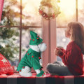Miniatyrbillede 2 af 5: (L) Julekostumer til kæledyr, julefest hatte til søde hunde