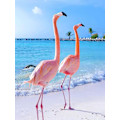 Pikkukuva 1 / 5: DIY 5D timanttimaalaus Punainen lintu Eläin, Flamingo Taide Taivas Ranta C
