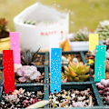 Miniatyrbillede 4 af 4: 100 stk. Tykke Plastik Plante Havemærke Havemærke Skilte Vandtætte Spidse Planteskolefrø Pot Markør Grøn