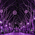 Pikkukuva 5 / 5: Ulkoilma Halloween -valosarjat, 33 jalkaa 100 LED:tä vedenpitävä