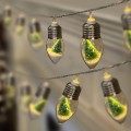 Miniatyrbilde 2 av 5: Julelys utendørs, Globe String Lights for Bedroom med 2