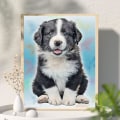 Miniatyrbild 3 av 5: 5D DIY fyrkantig diamantmålning hund, målning strassbroderi