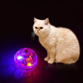 Miniatyrbild 4 av 5: 3 st glödande bollar, blinkande transparent plastboll rolig träningsretande katt leksaker blixtbollar husdjur interaktiv leksak