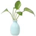Miniatyrbillede 1 af 3: Plante Hydroponisk Keramisk Vase Kreativ Fremme Sund Vækst Plantekasse til Stue Soveværelse Studie Cyan