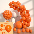 Miniatyrbild 2 av 5: Enfärgad ballongförpackning ballonggirlang bröllop födelsedagspar