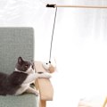 Miniatyrbillede 11 af 11: 2-Pak - Kattlegetøj på Pind med Klokke - Legetøj til Kat Beige