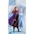 Disney Frozen Enchanted Snö Sova-säck