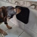 Miniatyrbilde 8 av 11: Slow Feeder Bricka för Hund & Katt - Ät långsammare