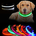 Pikkukuva 1 / 4: LED-koiran Kaulapanta Ladattava / Heijastava & Kaulapanta Green M - Grön
