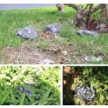Pikkukuva 7 / 7: Avainpiilopaikka Kivi - Piilota avain kiveen - Avain Piilossa Stonegrey