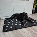 Pikkukuva 2 / 11: Hundbädd / Hundsäng - Sovplats för hundar - 100x70cm