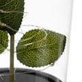 Miniatyrbild 10 av 11: Ros i Glaskupa - LED