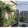 Miniatyrbillede 9 af 10: Plantenet / Støttenet til Planter - 2x10m