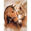 Miniatyrbild 2 av 4: Diamond Painting / DIY 5D Diamantmålning - 30x40cm - Hästar